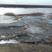 Посмотреть крупнее
